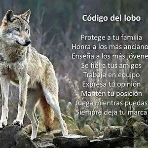 Meet your Posher, Francisco